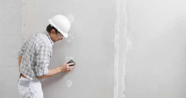 Trusted Ventress, LA Drywall & Painting Services Experts